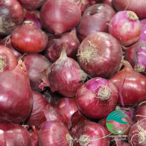 تامین پیاز قرمز صادراتی 