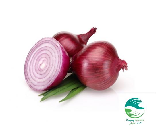 خرید انواع پیاز قرمز زودرس