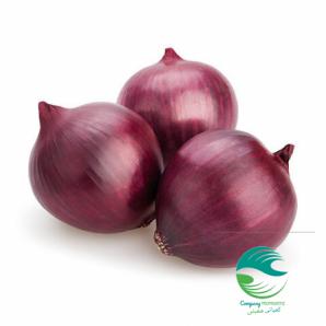 ? خرید پیاز قرمز متوسط