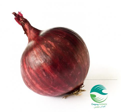 خواص استفاده از پیاز قرمز برای پوست