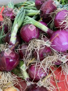 ?فروش عمده پیاز قرمز