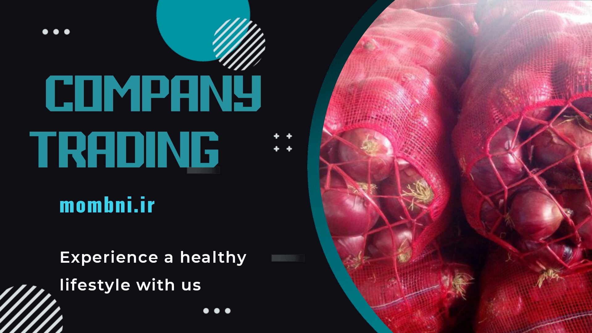 خرید پیاز صادراتی برای قطر