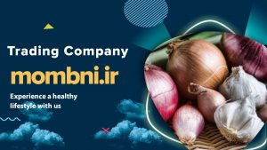 بهترین کشورهای تولید کننده و صادر کننده پیاز در جهان 