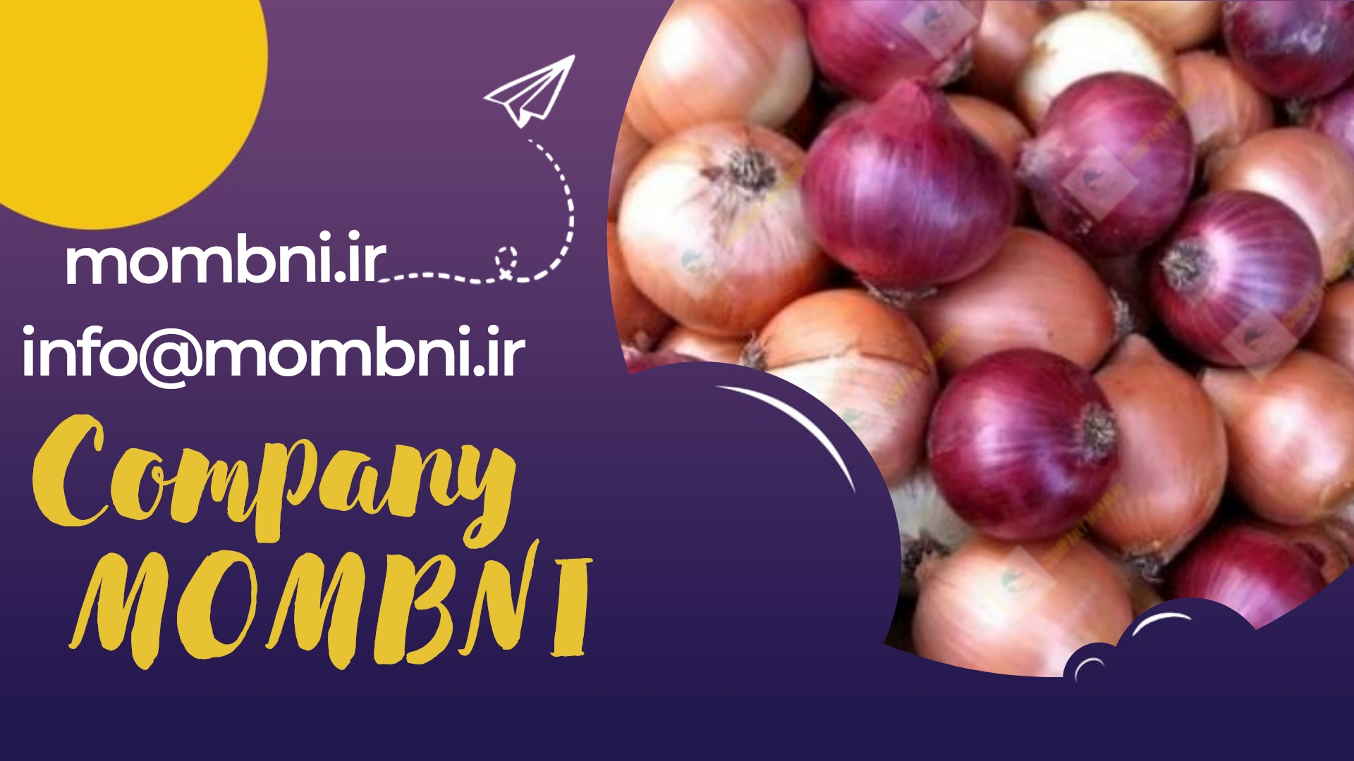 قیمت پیاز قرمز ایلام