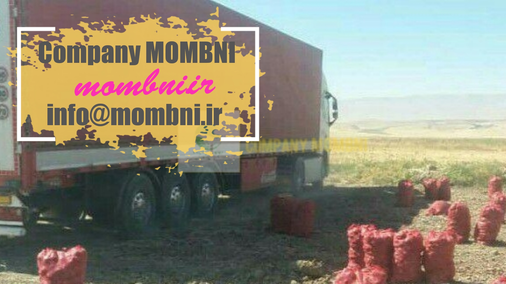 قیمت پیاز قرمز میداودی