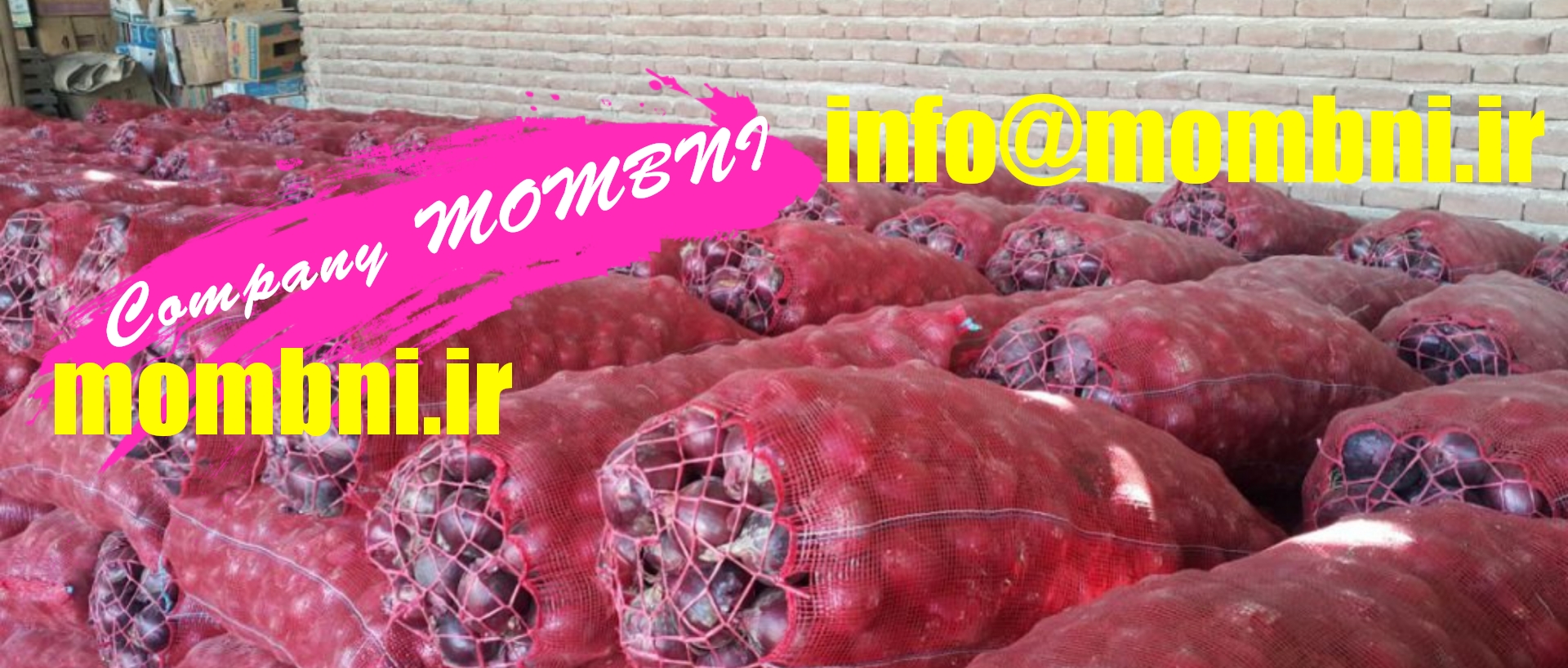 عمده پیاز بناب تبریز