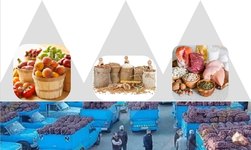 تولیدی تولید پیاز قرمز کوچک