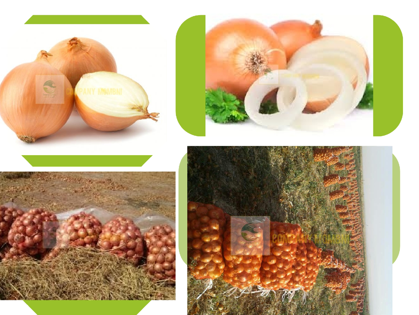 فروشگاه پیاز زرد ویکیما