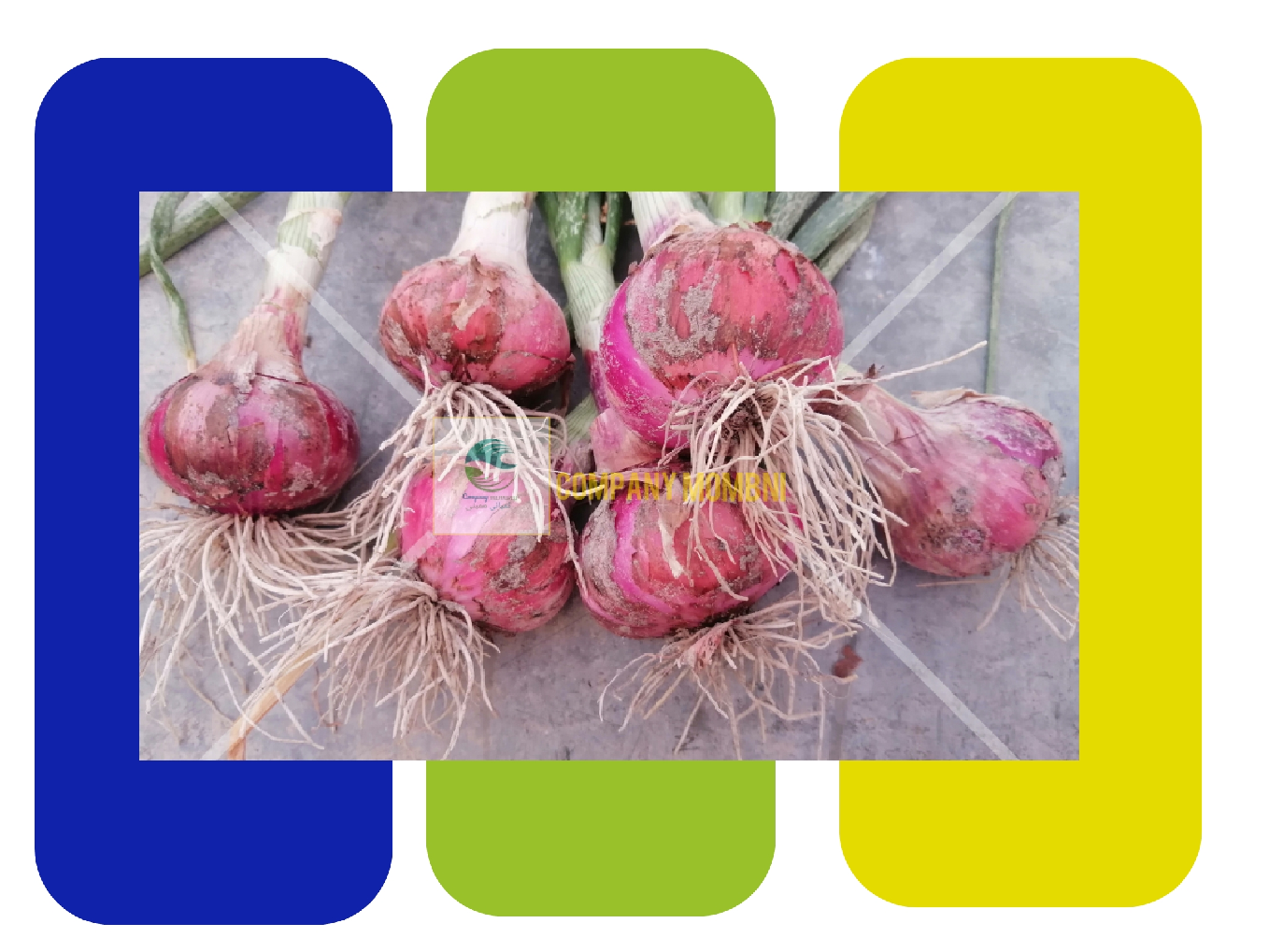 فروشگاه اینترنتی، پیاز قرمز