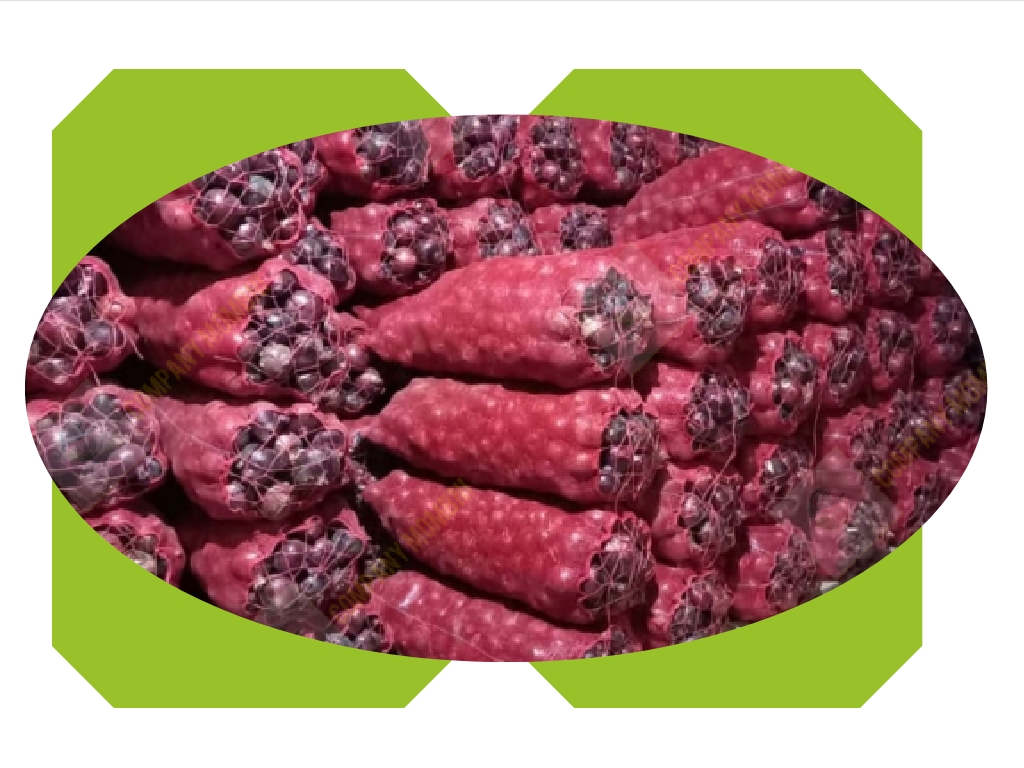 عرضه پیاز قرمز _ بناب