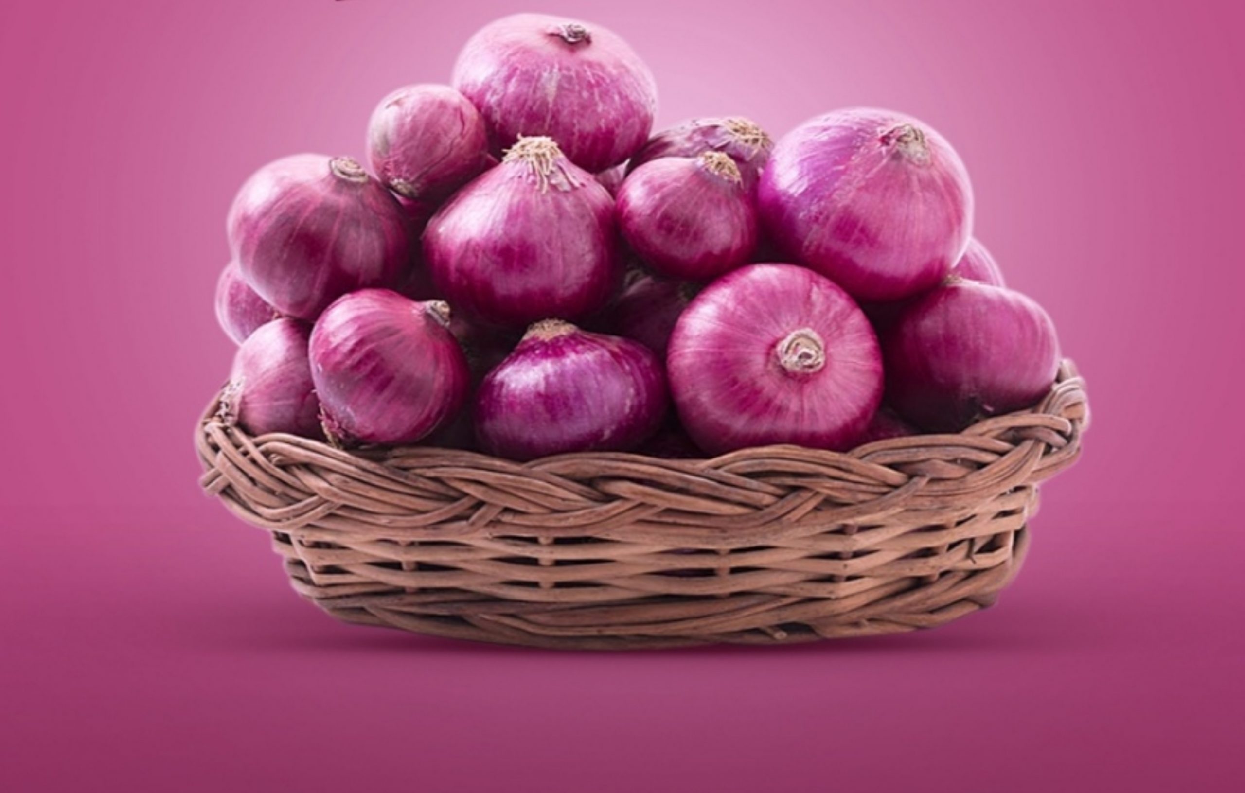 توزیع و پخش، پیاز قرمز میداود