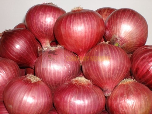 فروشگاه، اینترنتی پیاز قرمز ایران