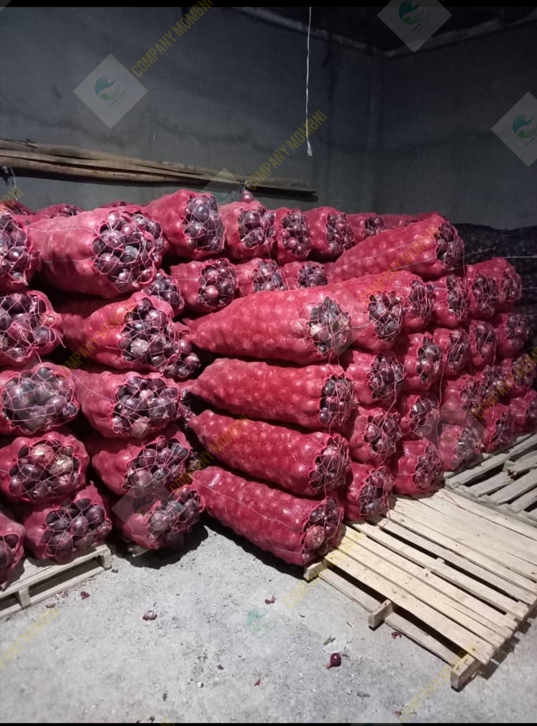 پیاز قرمز بناب صادراتی ایران