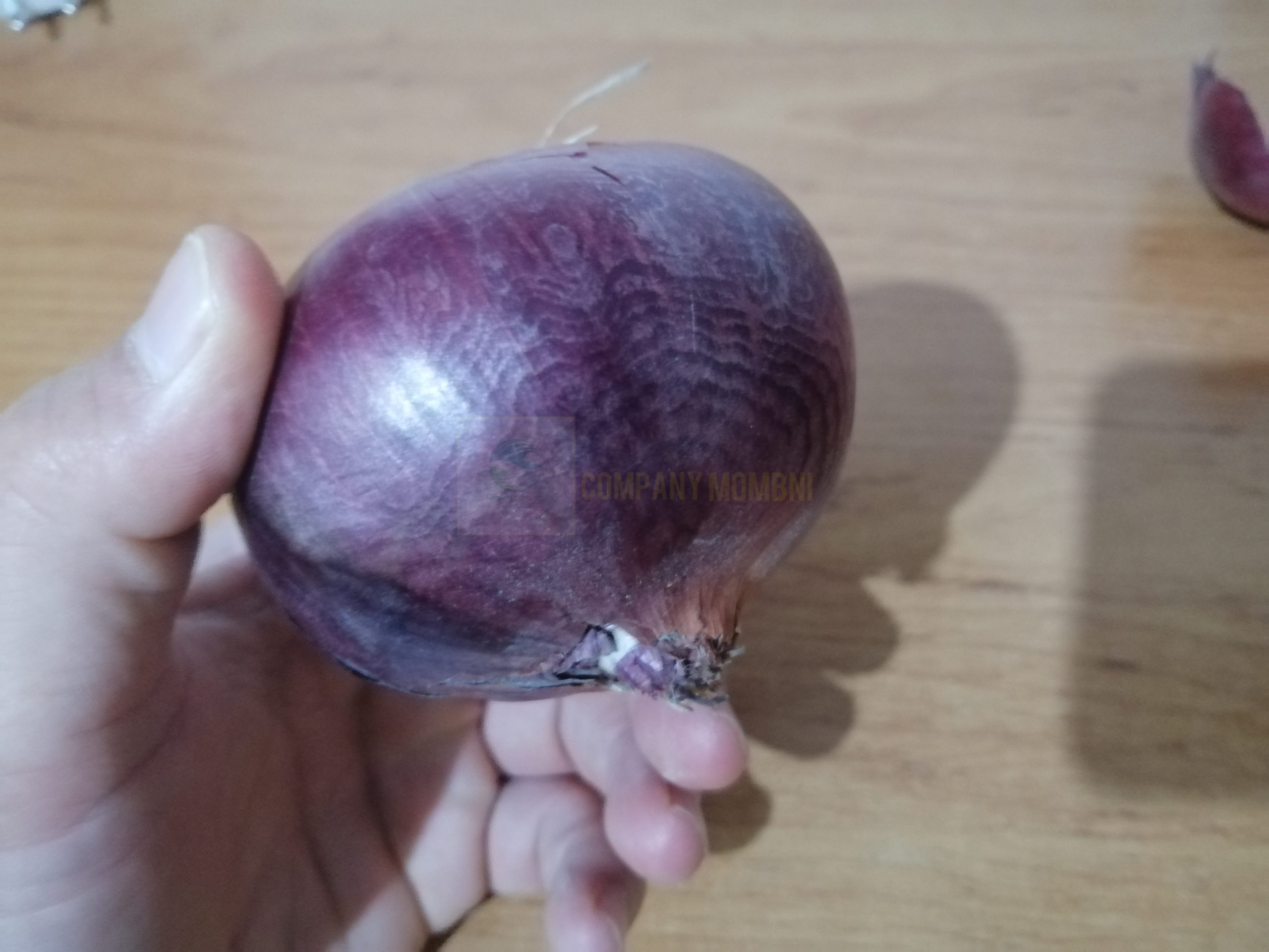 عمده پیاز قرمز کوچک