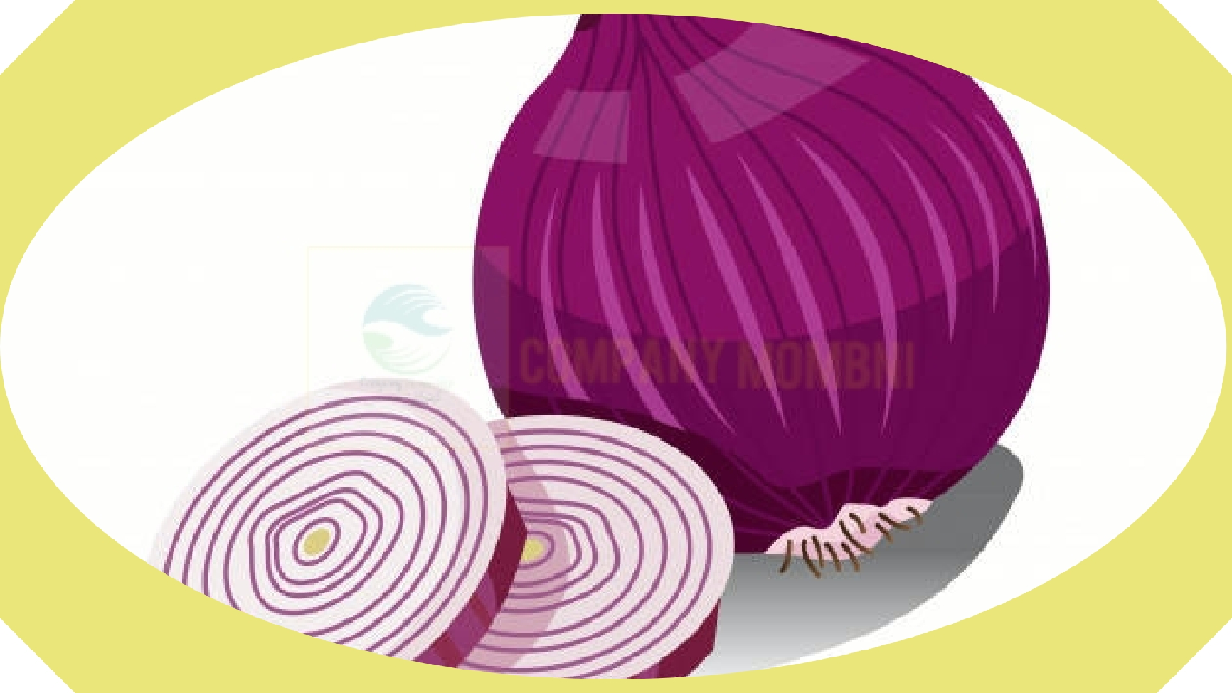 عرضه پیاز قرمز، دزفول