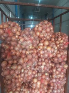 عرضه پیاز زرد دزفول 