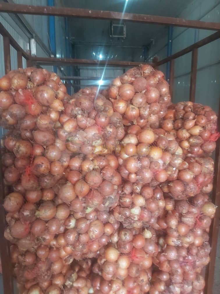 پیاز زرد فلات خراسان شمالی