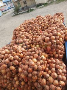 خرید پیاز زرد دزفول 