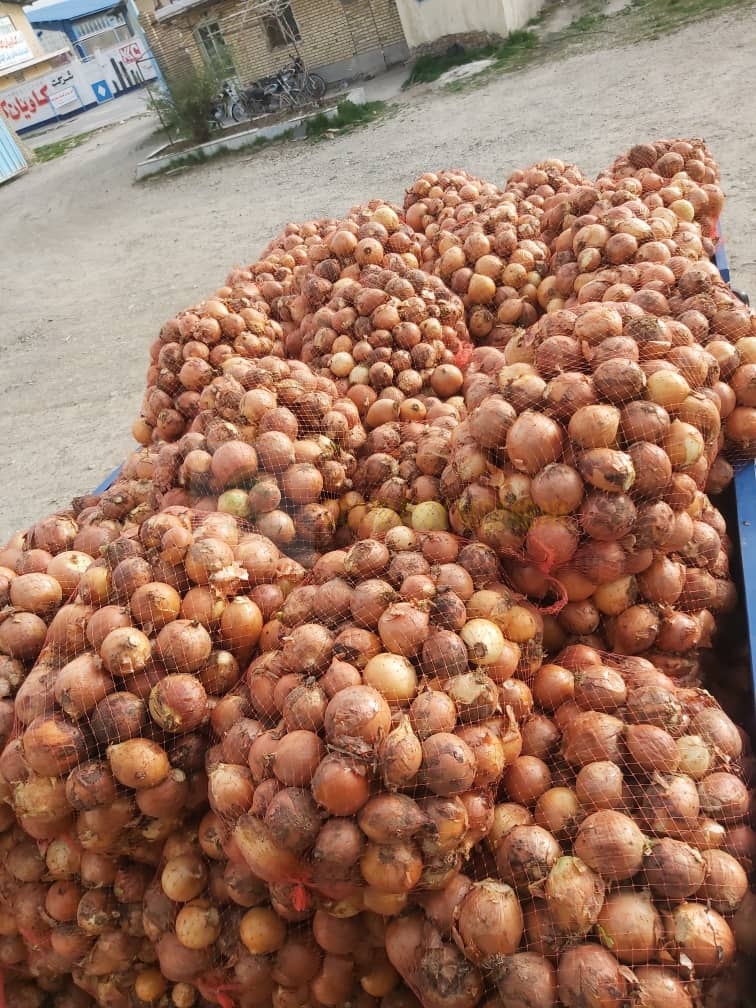 پیاز زرد عمده دزفول