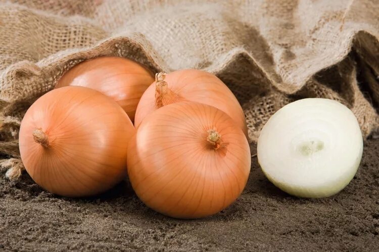 نرخ پیاز زرد طلایی